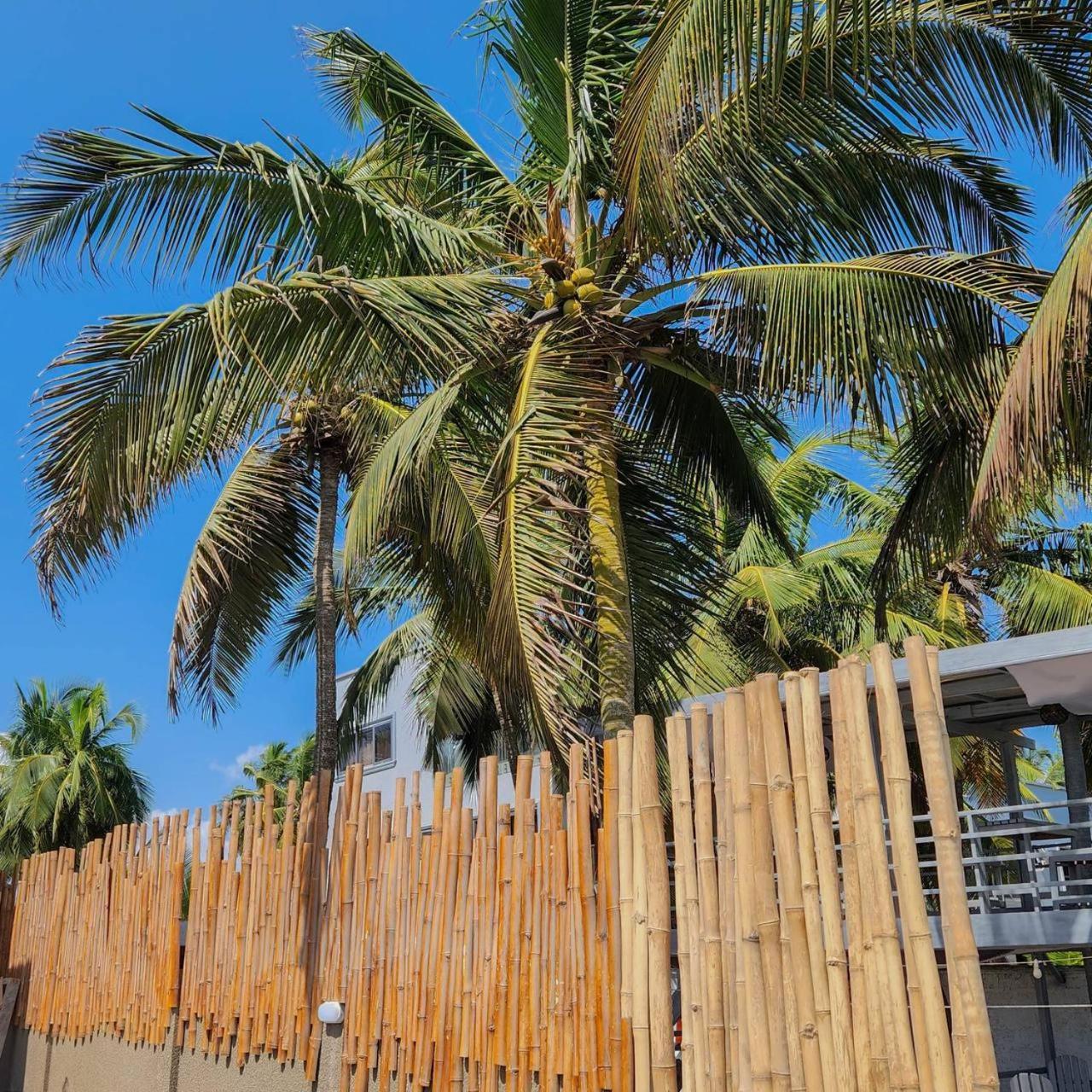 Serenity Terraces Beach, Hotel - Kokrobite ภายนอก รูปภาพ